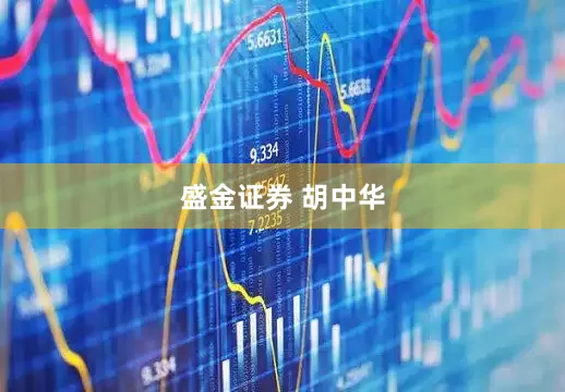 盛金证券 胡中华