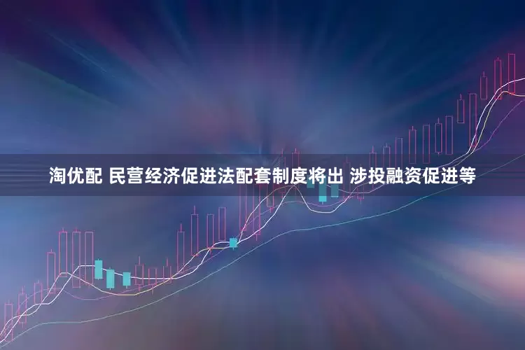 淘优配 民营经济促进法配套制度将出 涉投融资促进等
