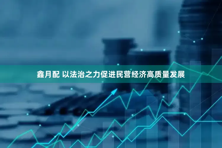 鑫月配 以法治之力促进民营经济高质量发展