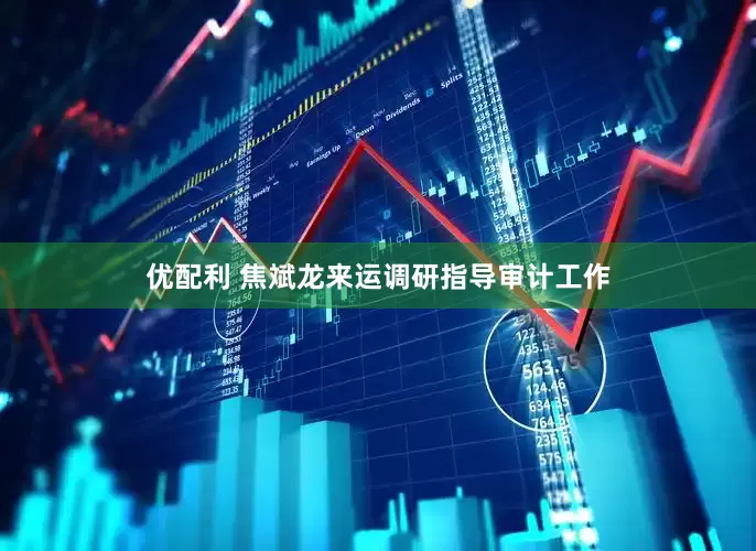 优配利 焦斌龙来运调研指导审计工作