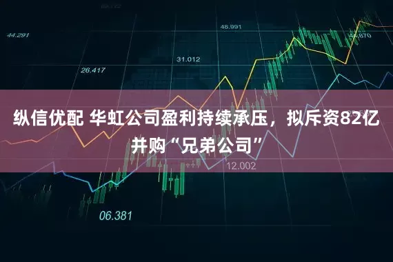 纵信优配 华虹公司盈利持续承压，拟斥资82亿并购“兄弟公司”